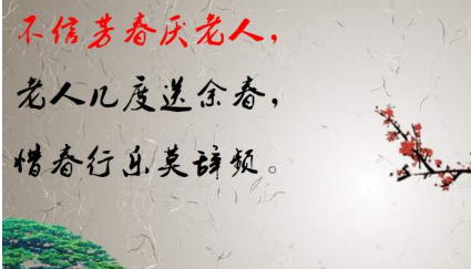 宋词赏析之醉中真·不信芳春厌老人，该词表达的隐喻是什么？