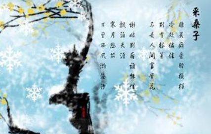 清代诗词鉴赏之采桑子·塞上咏雪花，该诗词有什么隐喻？