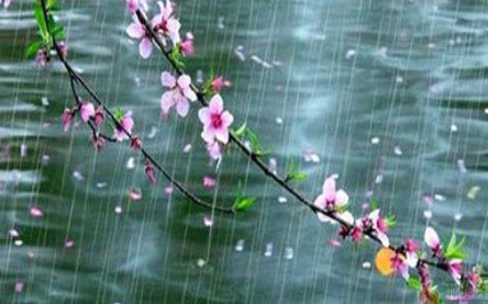 《春雨》的写作背景如何？该怎样去理解呢？