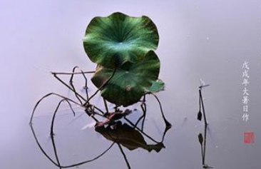 《摊破浣溪沙·菡萏香销翠叶残》是哪位诗人的作品？这首词的原意是什么？