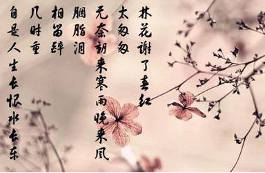 李煜词作：《相见欢•林花谢了春红》赏析