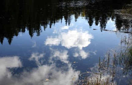 古诗词鉴赏之：辛弃疾的《生查子·游雨岩》