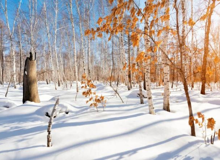 历史上有哪些描冬季太阳的诗作？诗人是如何描述冬阳的？
